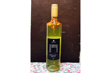 Rượu đông trùng hạ thảo