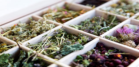 cac-loai-tra-thao-duoc-co-loi-cho-suc-khoe-nen-uong-moi-ngay