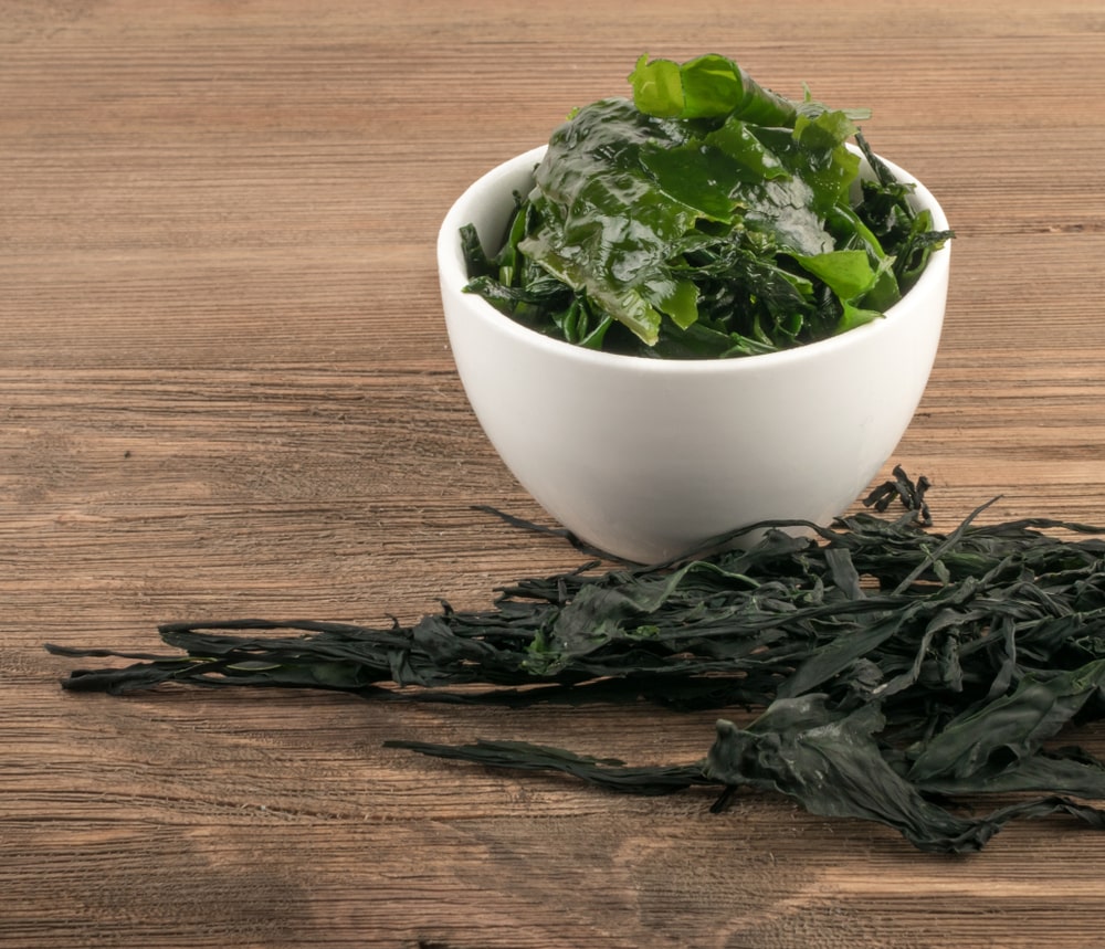 Rong-bien-thao-duoc-giam-mo-mau