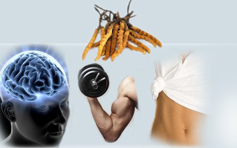 Cong-dung-Dong-trung-ha-thao-Tang-hieu-suat-trong-tap-the-duc