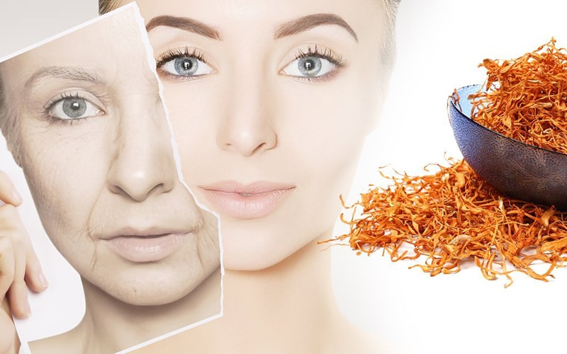 Dac-tinh-chong-lao-hoa-cua-dong-trung-ha-thao