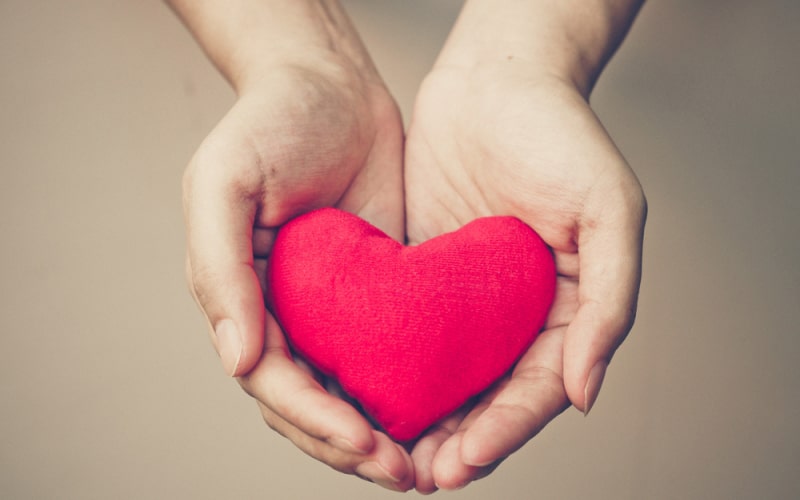 Tac-dung-dong-trung-trong-suc-khoe-tim-mach