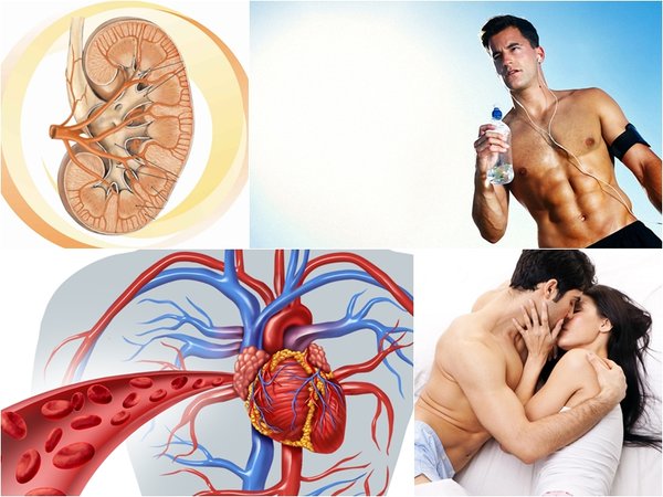 Tác dụng tuyệt vời của đông trùng hạ thảo với đàn ông yếu sinh lí 