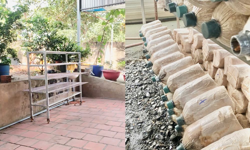 Chuan-bi-khu-trong-nam-bao-ngu