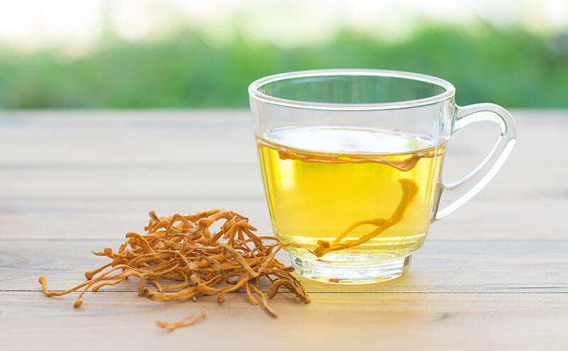 Nen-dug-Dong-trung-ha-thao-vao-luc-nao-tot-nhat